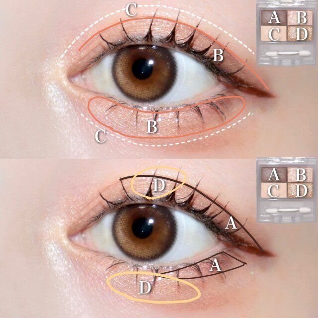 Chacottフェイスカラーパレット505 ウォルナットベージュ 使い方 解説