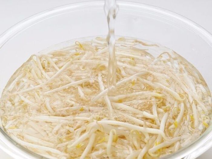 野菜室に入れるのはNG！？「もやし」の正しい保管場所。長期保存のコツも！