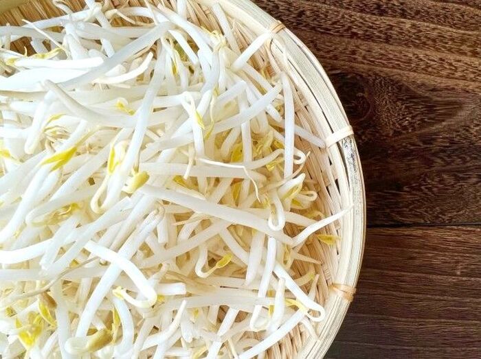 野菜室に入れるのはNG！？「もやし」の正しい保管場所。長期保存のコツも！