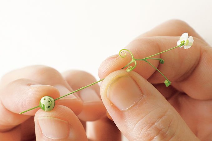 お散歩で遊ぼう♪ 秋の草花「フウセンカズラのさる」の作り方の画像5