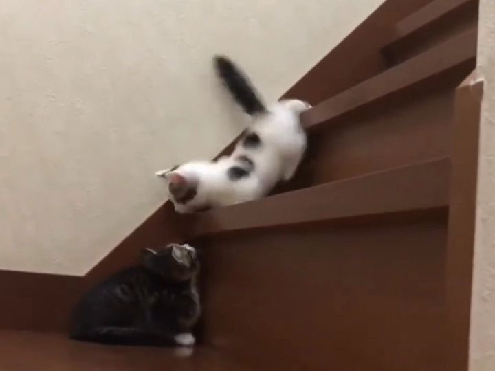 応援したくなるかわいさ…！