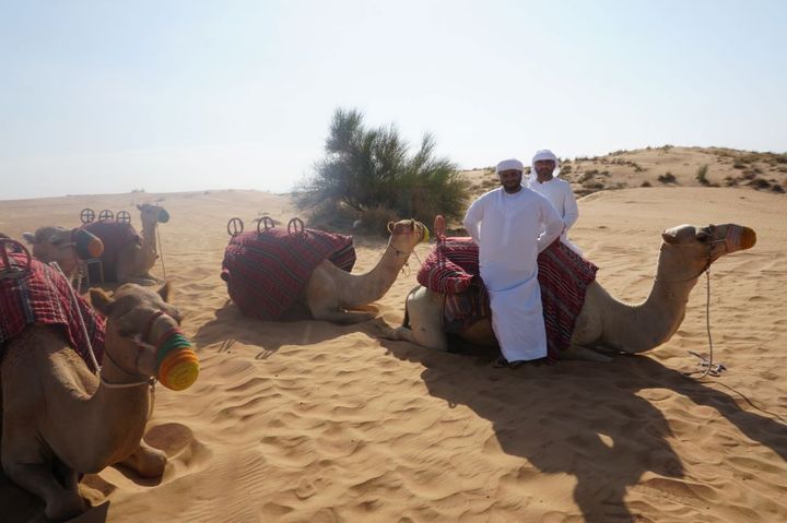 食後にラクダに乗ってもOK。ラクダはふたりで乗れるものの、左右に揺れるので「もっとこっちへお寄り」とか言っている余裕はないかも