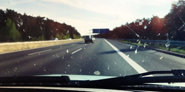 車のフロントガラスにぶつかる虫は本当に減ったのでしょうか