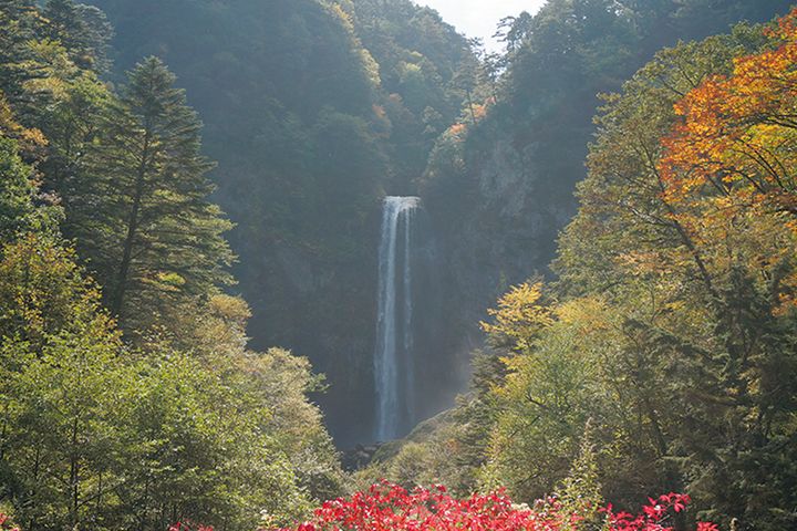 【紅葉2025】関東・甲信越エリアの絶景紅葉ルート4選