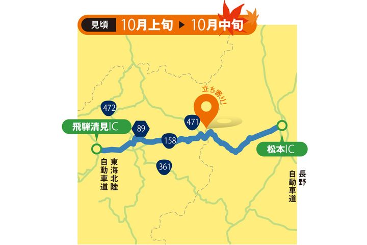 【紅葉2025】関東・甲信越エリアの絶景紅葉ルート4選