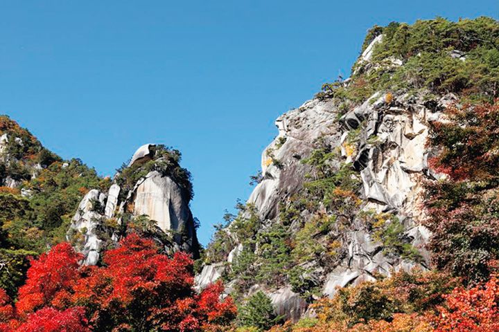 【紅葉2025】関東・甲信越エリアの絶景紅葉ルート4選