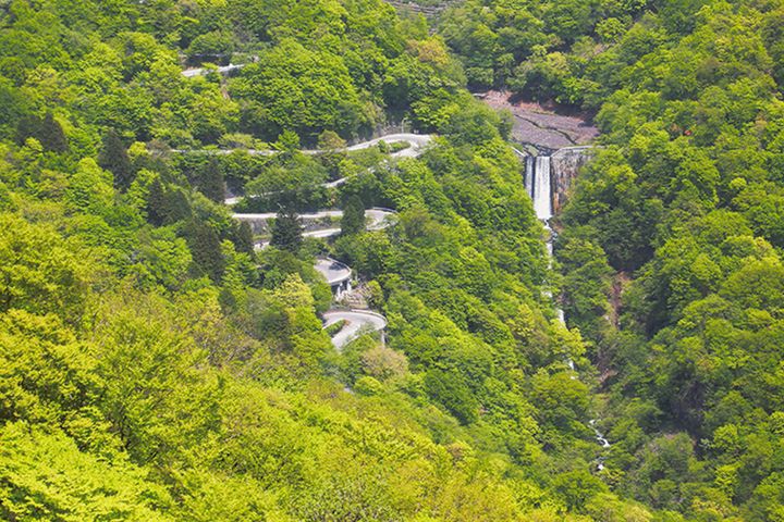 【紅葉2025】関東・甲信越エリアの絶景紅葉ルート4選