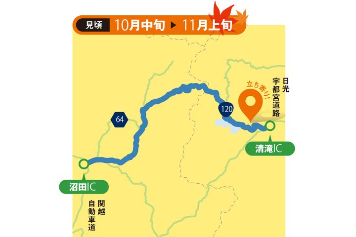 【紅葉2025】関東・甲信越エリアの絶景紅葉ルート4選