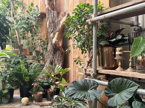 【大阪府大阪市】植物と共に広がる新しい価値を提案する、進化系園芸店「garage OSAKA」オープン！