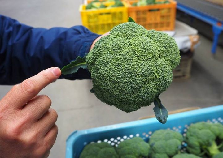 万博関連の投稿を見ている中で、「うわっっ、センスあるな～」と目に留まった写真がX上にありました。