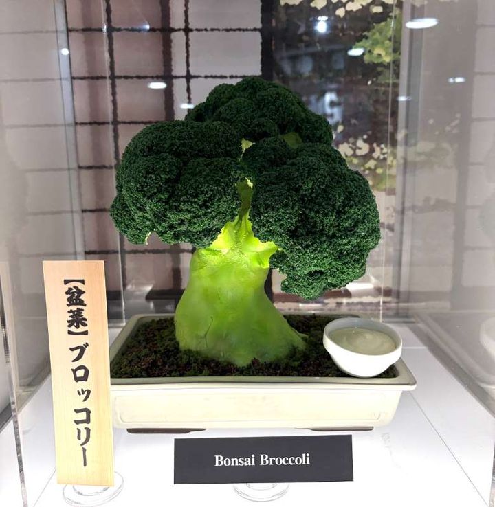 いわさき_食品サンプル(@IWASAKI_SAMPLE)の公式Xより引用