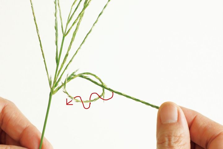 秋の草花で遊ぼう♪ お散歩で見つけた「メヒシバでしゃぼん玉」の画像6