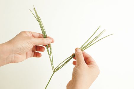 秋の草花で遊ぼう♪ お散歩で見つけた「メヒシバでしゃぼん玉」の画像4