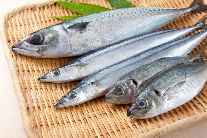 魚を上手に冷凍保存する方法は？