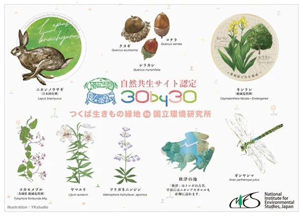 【茨城県つくば市】「国立環境研究所一般公開2025」開催！体験型で学べる約40のイベントを用意