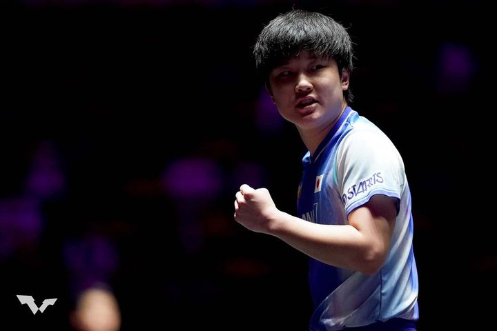 張本智和（C）WTT