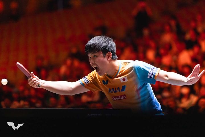 張本智和（C）WTT