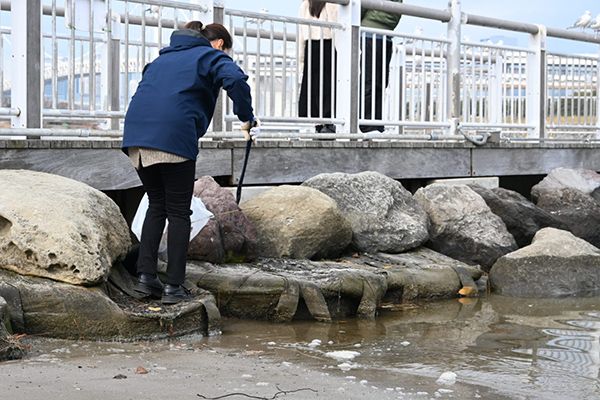 環境に配慮した「エコ花びら」で優しい海洋供養。海を守る供養へ