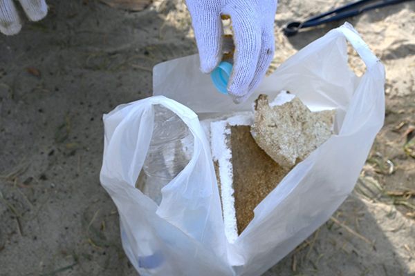 環境に配慮した「エコ花びら」で優しい海洋供養。海を守る供養へ