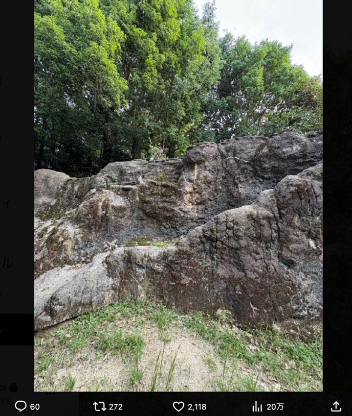 この画像のどこかに「ニホンカモシカ」が……！？ ※「上野動物園［公式］（@UenoZooGardens）」より