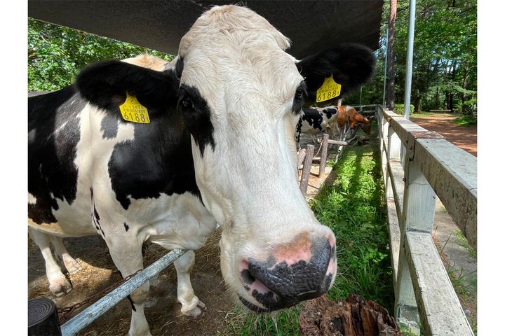 埼玉県こども動物自然公園の公式サイトから引用