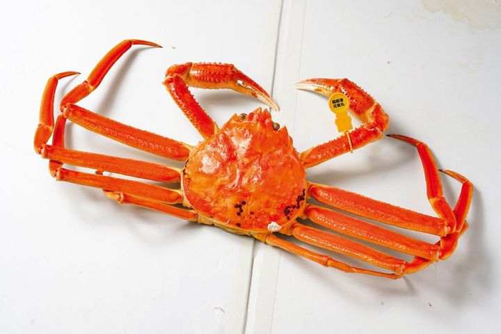 道の駅越前たけふ