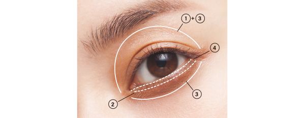 目元は下まぶたに中間色〜締め色を