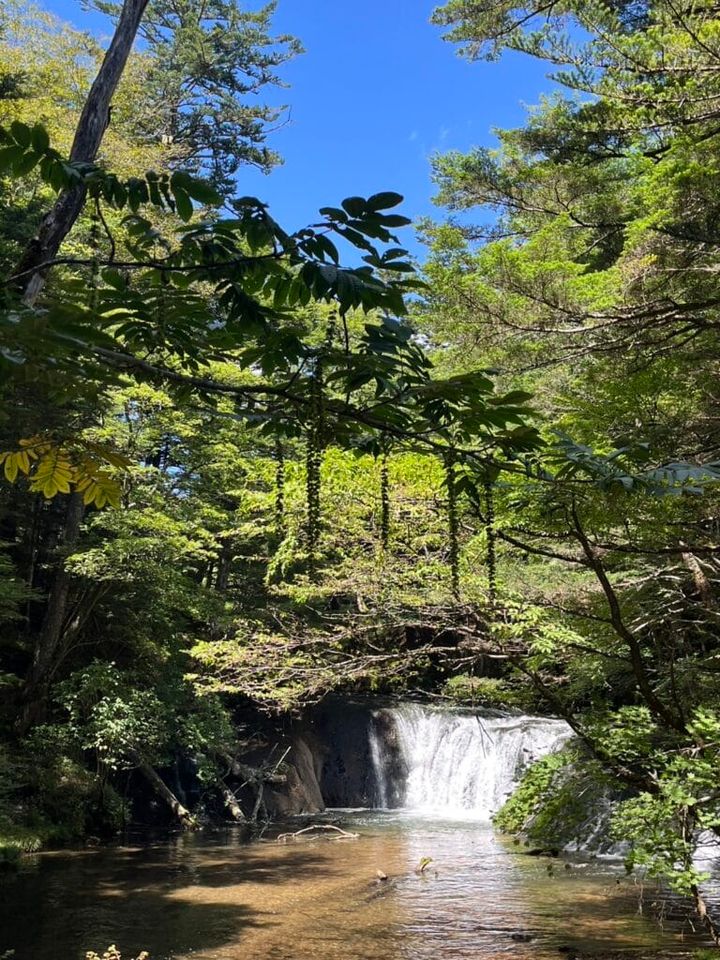 湯滝と湯滝裏の散歩道