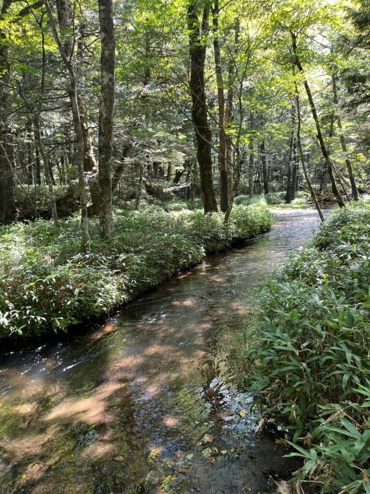 湯滝と湯滝裏の散歩道