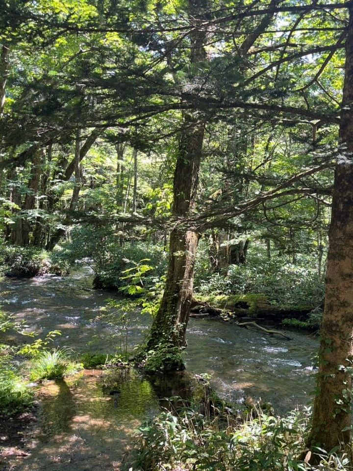 湯滝と湯滝裏の散歩道