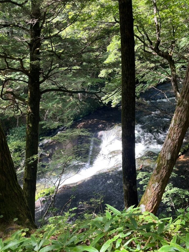 湯滝と湯滝裏の散歩道