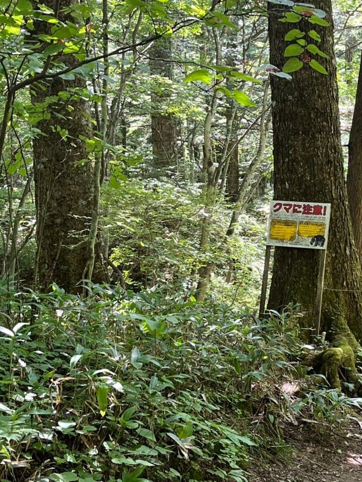 湯滝と湯滝裏の散歩道