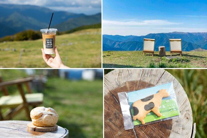 日本のスイスと称される「四国カルスト」で星空ステイ