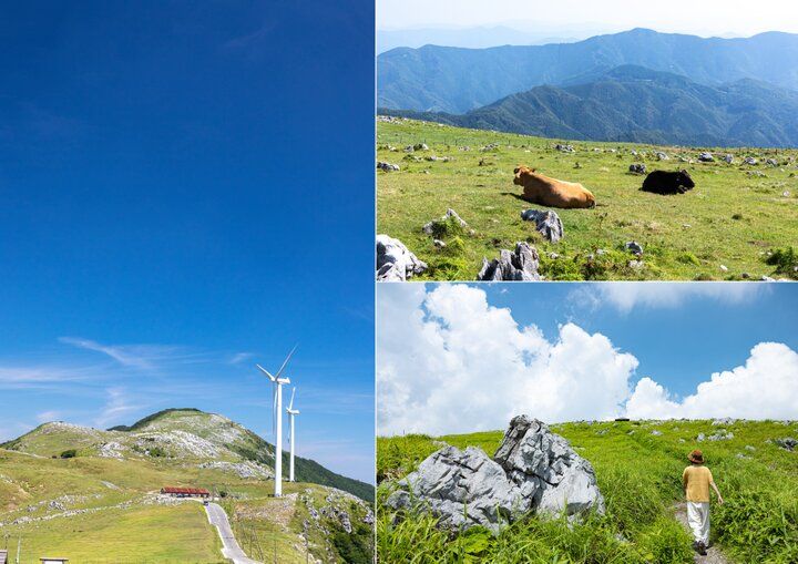 日本のスイスと称される「四国カルスト」で星空ステイ