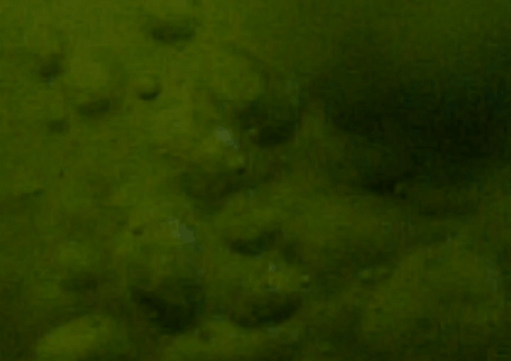 泡の接触によって小さな稲妻が発生している様子