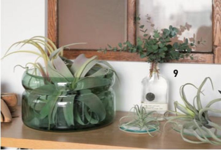 玄関にはフレッシュとフェイクの グリーンをミックスして違和感を解消