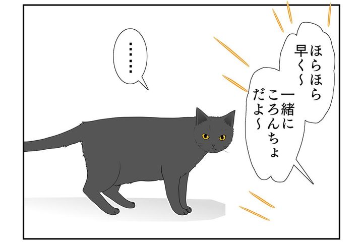 【マンガ・老猫日誌＃24】なぜか寝ない猫…19歳の元保護猫・桃姐