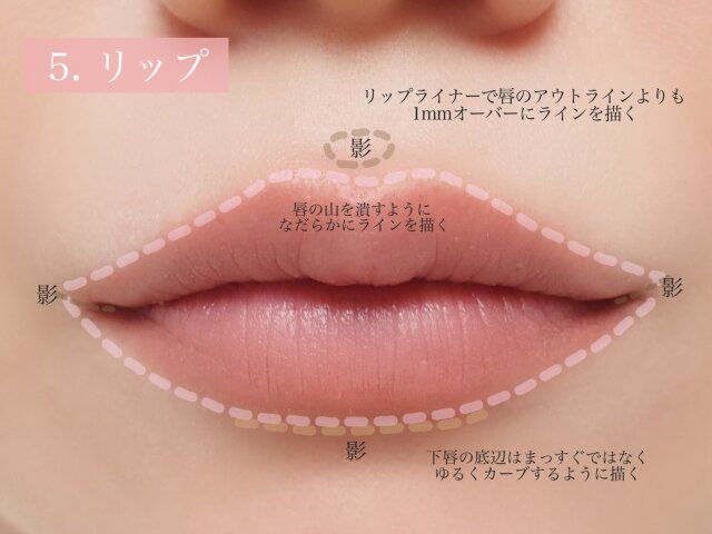 リップ 解説