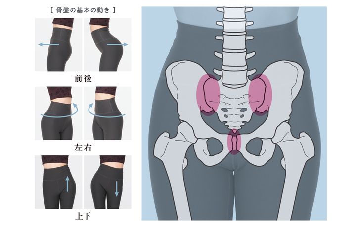 骨盤は歪まない！ 姿勢のクセで「前後」「左右」「上下」に回転して崩れているだけ！