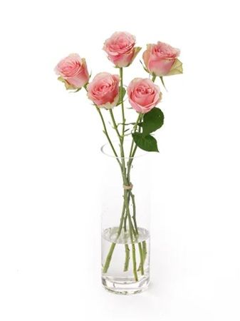 花の卸通販サイト「Flower Smith Market」で、「ケニア産バラ特集」を開催中！