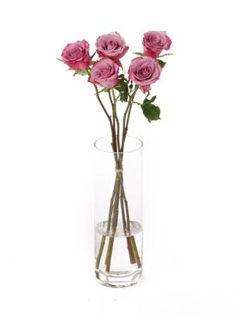 花の卸通販サイト「Flower Smith Market」で、「ケニア産バラ特集」を開催中！