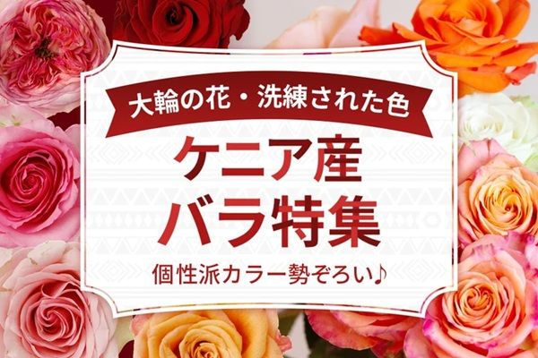 花の卸通販サイト「Flower Smith Market」で、「ケニア産バラ特集」を開催中！