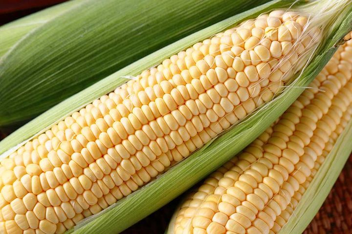 とうもろこし