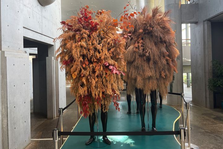 （写真左から）「温帯」、「亜寒帯」