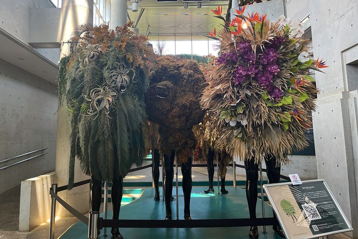 （写真左から）「砂漠・乾燥地帯」、「寒帯」、「熱帯・亜熱帯」