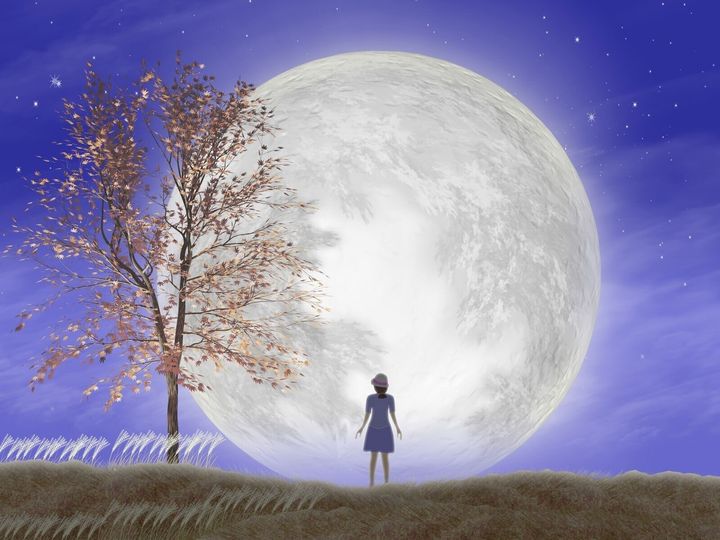 金運師のたかみーさんによれば、2025年10月6日の十五夜は、2026年の金運を高めるためにとても重要な日だそうです。この記事では、その理由と金運アップのための5つのアクションをご紹介します。（画像出典：PIXTA）