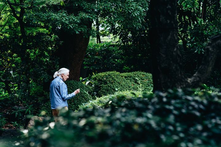 2023年の本誌取材での1カット。都内の日本庭園を歩く博士。Photo_ Kaori Nishida