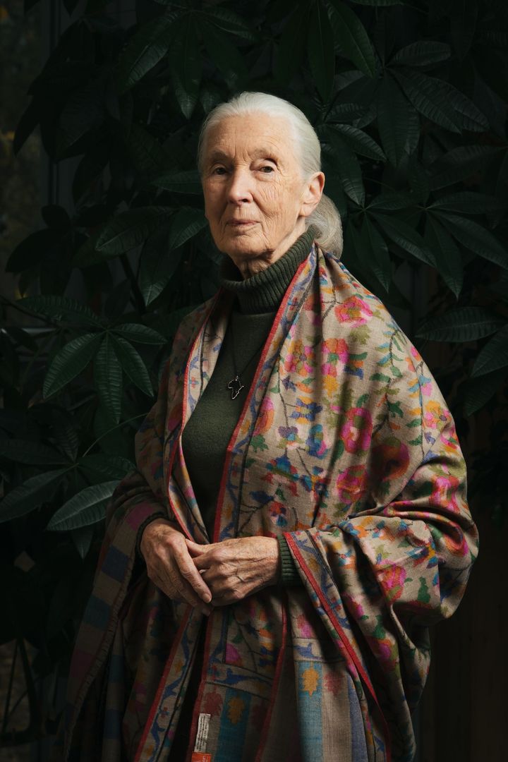 Photo_ Marko Zlousic / Jane Goodall Institute