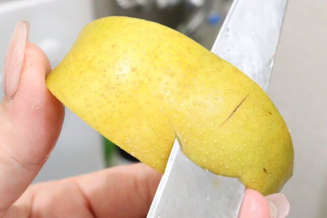 ダイソーの包丁研ぎ 吸盤タイプ シロクマで切れ味が良くなる