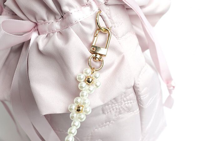 宝島社ピンクマニアバッグDカン